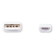 USB Apple Lightning Cable, 10 ft, White