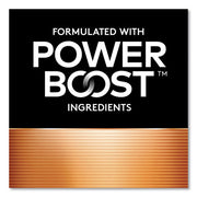 Power Boost CopperTop Alkaline AA Batteries, 2/Pack