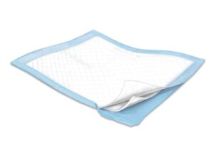 Cardinal Health? Wings? Basic Underpads, Light Absorbency, Blue, 23 x 24 Inch - Image 1