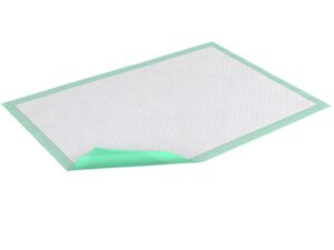 Tena? Ultra Plus Underpad, Moderate Absorbency, 30 x 30 Inch - Image 1