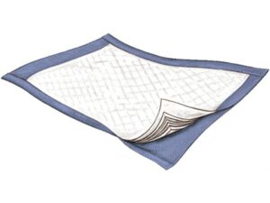 Passport? Underpad, 22 x 35 Inch - Image 1