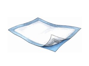Passport? Underpad, 30 x 36 Inch - Image 1