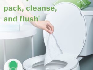 McKesson Flushable* Wet Wipes - Scented, 96 Wet Wipes per Pack - Image 3