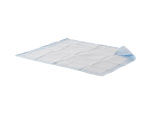 Wings? Quilted Maximum Absorbency Positioning Underpad, 30 x 36 Inch - Image 1